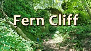 Fern Cliff Nature Preserve | Indiana Hidden Gem