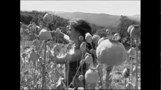 STO M&Uacute;CH - Straky