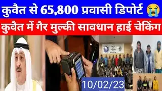 Kuwait 2022 illegal warkers deported 65,800 breaking news update today Hindi Urdu