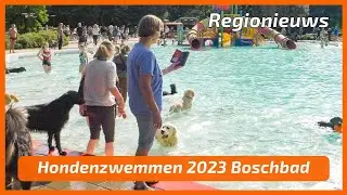 Hondenzwemmen 2023 Boschbad
