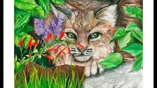 SPAA 2016 K 12 Student Art Competition Preview