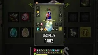 Mon objet le plus rare sur DOFUS !