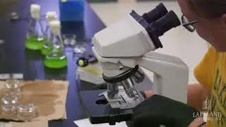 LURE: Lakeland Undergraduate Research Experience
