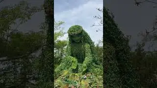 Te fiti found at the journey of water at Epcot! #disney #Epcot #Tefiti #Moana #DisneySide