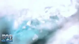 Group Dive Trip Adventure?