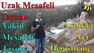 Kovan Taşıma Yöntem ve Şekilleri
