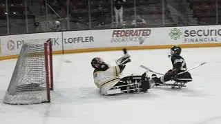 MN Wild Sled Hockey Game Highlights