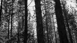 COVENHOVEN - A Love Sincere