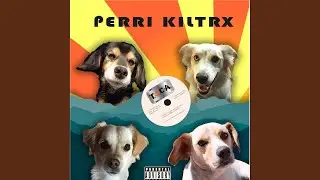 Perri kiltrx