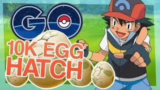 Pokemon go 10k egg hatch