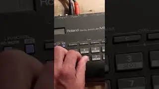 Damager | Roland MS-1