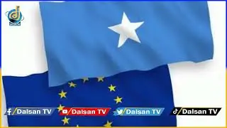 EU Funds London Consultancy with &euro;5.3m for Somali Financial Reforms