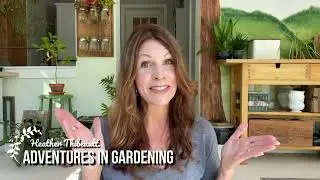 Welcome to Adventures in Gardening!
