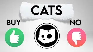 CATS coin Price Prediction. Cats zones of interest