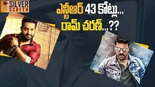 Ram Charan Dhruva 3 days Box Collection Report || Latest Telugu Cinema News
