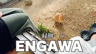 外で遊ぶウサギを縁側でお茶をしながら眺める爺さまと婆さま　#902