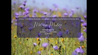 Vaisitnė Medetka (Calendula officinalis) - vasitinis augalas ir natūralūs receptai namuose