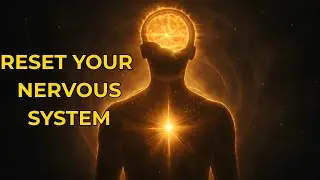 This Simple Quantum Manifestation Shift Will Reset Your Nervous System