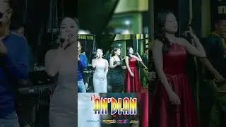 CAMELIA - ALL ARTISTS | NEW ANDIAN MUSIC #coklat_videography