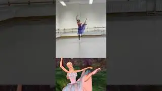 Barbie Swan Lake