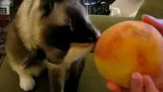 Mmm peaches pt1