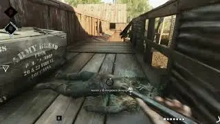Hunt: Showdown - Y muri&oacute;...