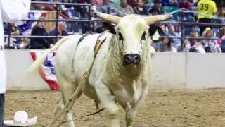 2017 National Western Stock Show Opening Weekend