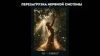 Телесная медитация &laquo;Перезагрузка нервной системы&raquo; из YO.ENERGY