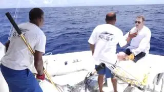 Catching 325Lb Blue Marlin aboard Fishing Vessel Aquila in Mauritius