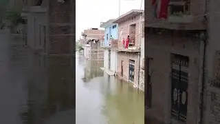 Phaphamau me ganga ka jal badha #prayagraj #shortfeed #viral #trending #prayagrajvlog