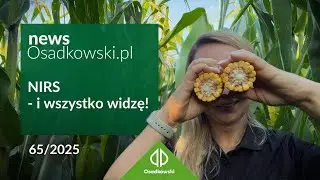 Kukurydza na kiszonkę &ndash; jak NIRS pokazuje, kiedy zbierać DKC 3513