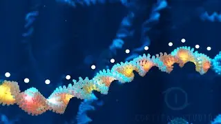 Showreel 2025 - Cortical Studios | MoA animations