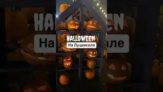 Парк ужасов на Луцавсале #латвия #рига #луцавсала