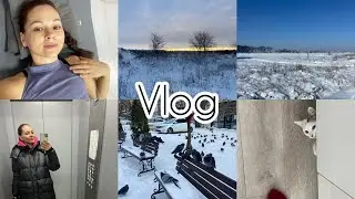 Не знаю, к чему нас готовят, но я готова! Снежный Краснодар. С кошкой и детьми некогда скучать!