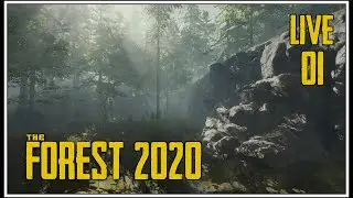 The Forest 2020 - Live 01 🌳 Mit Shoninya im Wald