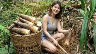 Bushcraft Skills: Foraging Wild Bamboo in the Deep Woods #bushcraftskills