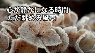 疲れた心に、そっと寄り添う風景と言葉