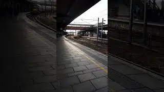 Class 40 at York! D345 on 'The North Eastern Christmas Markets' 03/12/22 (1 of 2)