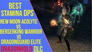 ESO Dragonhold - Best Stamina DPS Set | New Moon Acolyte vs Berserking Warrior vs Dragonguard Elite