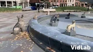 Berczy Park, dog park Toronto Canada