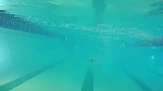 Butterfly Fish Kick Right Side Active