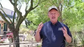 Earth Day El Paso Zoo