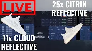 Yeezy Cloud White Reflective & Yeezy Citrin Reflective Live Cop - 36 Pairs! W/ Cybersole Dashe Kodai
