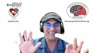 Introduction to Neuro-Acupuncture