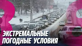 Новости: Экстремальные погодные условия /Жунгиету: Предпосылок для подорожания нет /18.02.2026