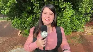 BDMG LAN&Ccedil;A LINHA DE CR&Eacute;DITO PARA O AGRO SUSTENT&Aacute;VEL