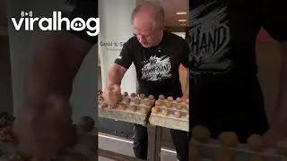 Mr. Hammerhand Sets Walnut Breaking World Record || ViralHog
