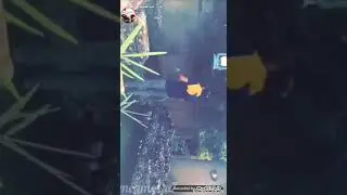 مجيد الفوزان بعد غيبة خمس أيام
