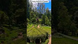 #OotyBotanicalGarden #OotyTrip #OotyTourism #Nilgiris #OotyVlog #OotyFlowers #OotyNature #TravelOoty