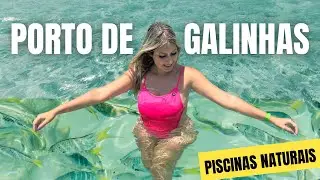 PORTO DE GALINHAS O QUE FAZER EM 01 DIA